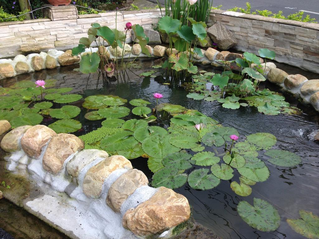 Songyuan B&B Lugu Εξωτερικό φωτογραφία